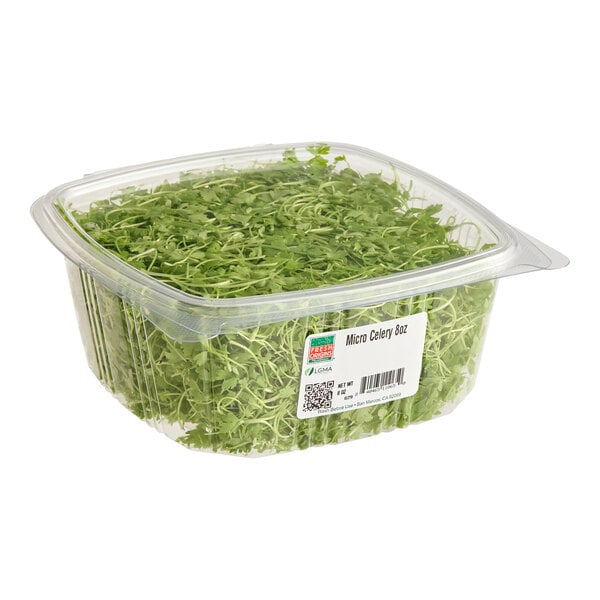 Fresh Origins Micro Celery 8 oz.
