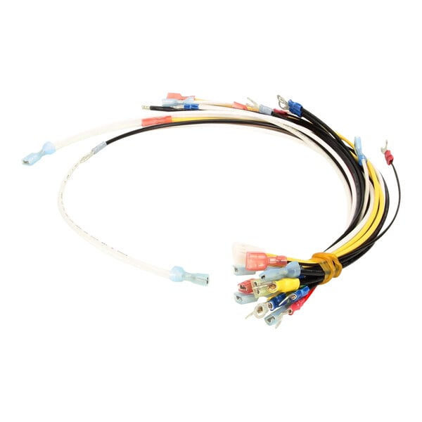 A set of assorted colored electrical wires with various connectors, identified as the Antunes 0700580 Wire Set.