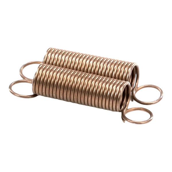 A pair of metal compression springs with looped ends.