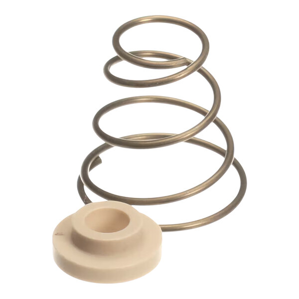 A metal coil spring and a white plastic shaft seal for a Blodgett CS motor.
