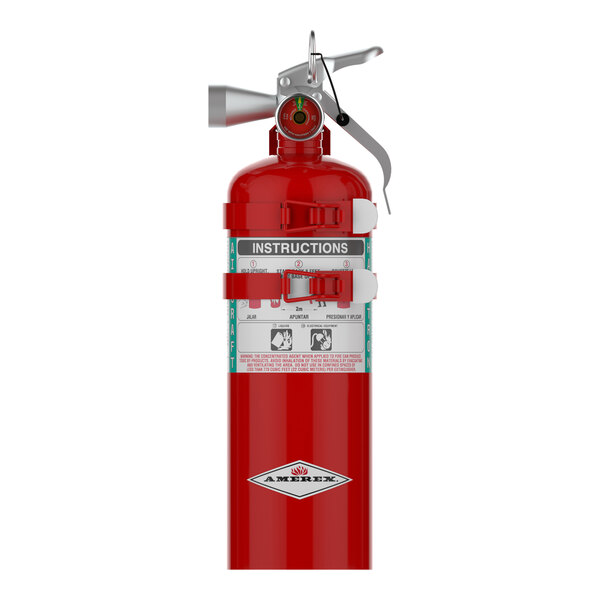 Amerex B410T Fire Extinguisher – 2.5 Lb, Class BC, UL Rating 10B:C, Purple K