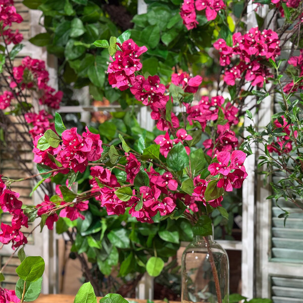 Mills Floral Company 43" Artificial Fuchsia Bougainvillea Hanging Bush