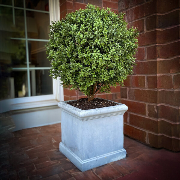 An artificial potted boxwood ball topiary in a square planter placed on a brick patio.