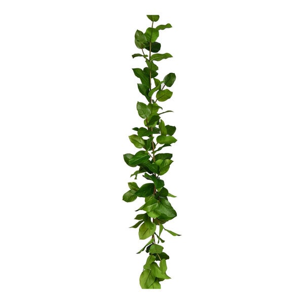 Mills Floral Company 72" Artificial Salal Leaf Garland