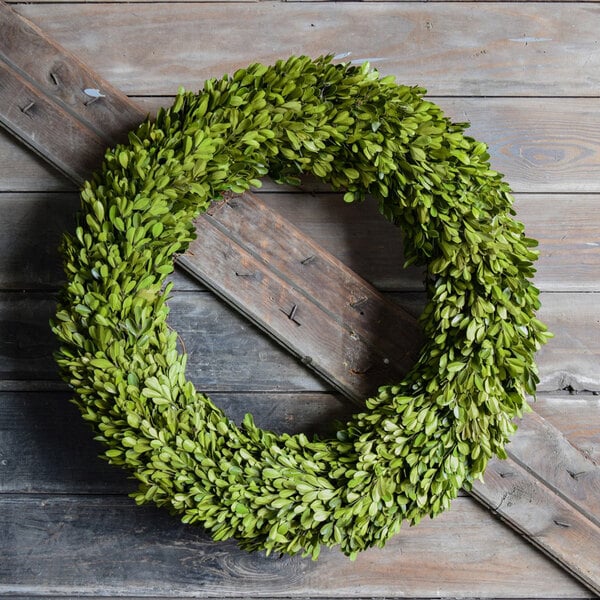 A round wreath made of preserved green boxwood leaves.