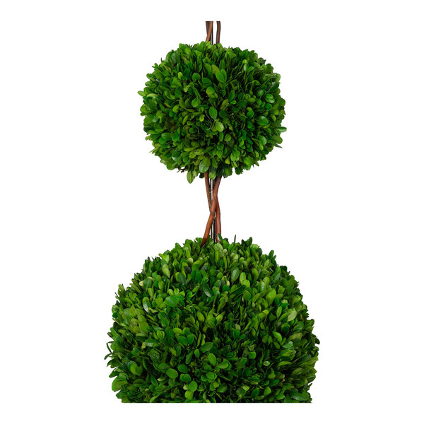 A preserved potted boxwood topiary with three spherical green foliage balls on twisted stems.