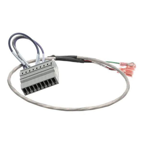 Convotherm 300772 Cable Assembly,3Ph Motor, Ms6.10