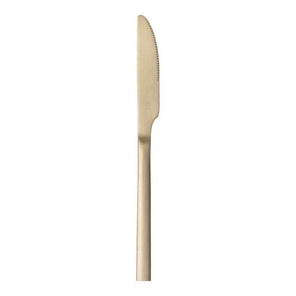 Libbey Elexa Satin OR 9" 18/0 Gold Stainless Steel Heavy Weight Dinner Knife - 36/Case