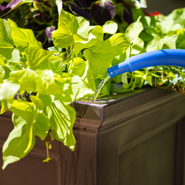 Mayne Fairfield 24" x 24" x 24" Square Espresso Polyethylene Planter