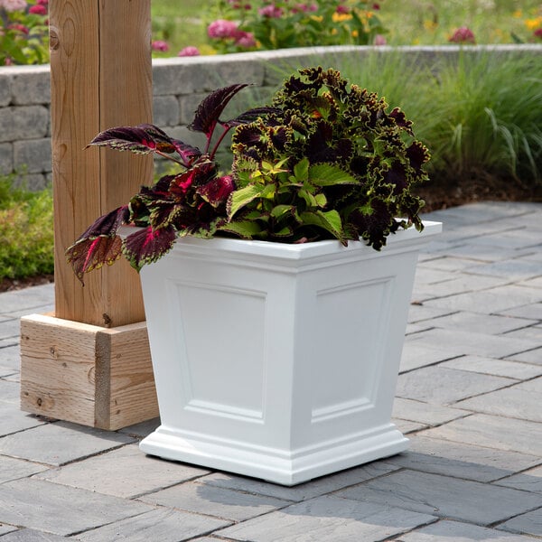 Mayne Fairfield 16" x 16" x 16" Square White Polyethylene Planter