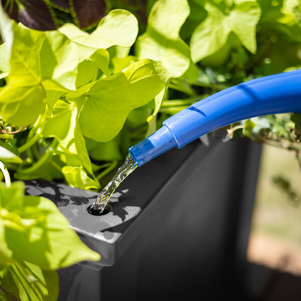 Mayne Fairfield 24" x 24" x 24" Square Black Polyethylene Planter