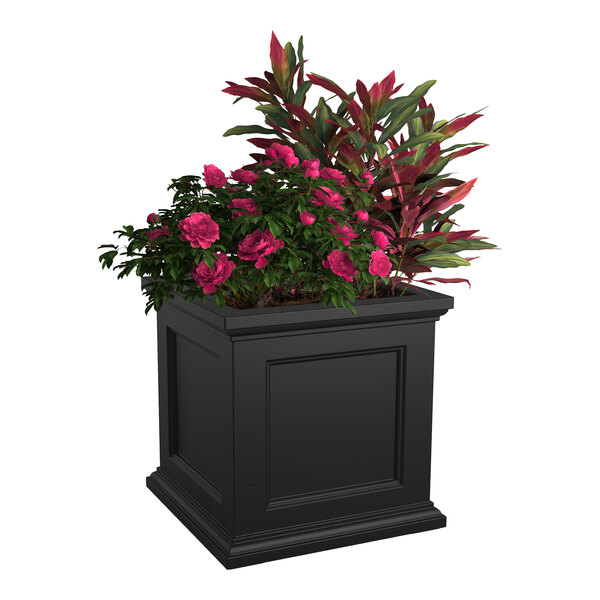 Mayne Fairfield 24" x 24" x 24" Square Black Polyethylene Planter