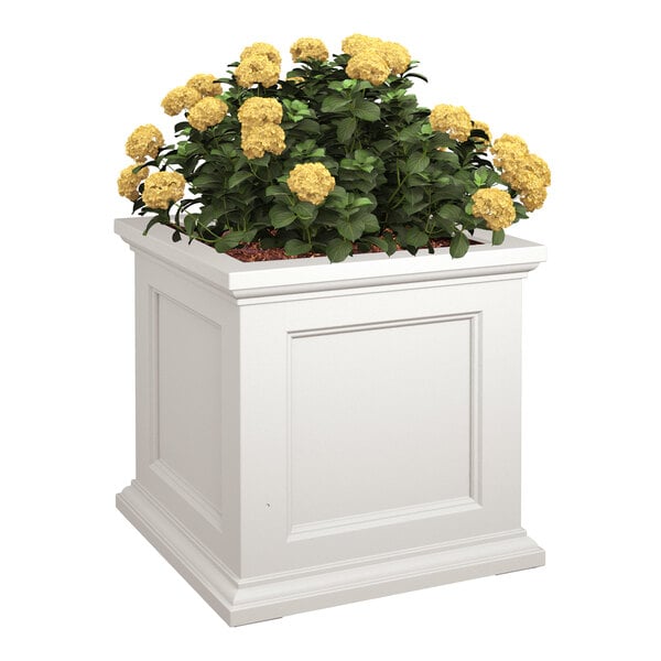 Mayne Fairfield 24" x 24" x 24" Square White Polyethylene Planter