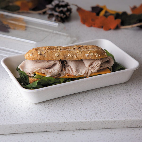 A rectangular compostable sugarcane take-out container holding a sandwich.