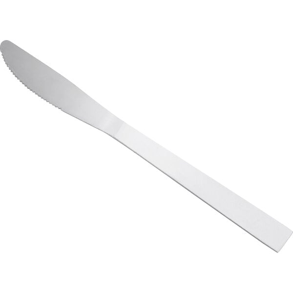 A stainless steel dinner knife with a simple, straight handle and a slightly serrated edge.