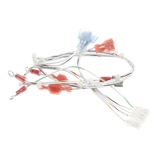 Lang 2E-EZG-713-2 Harness,Burner Valve