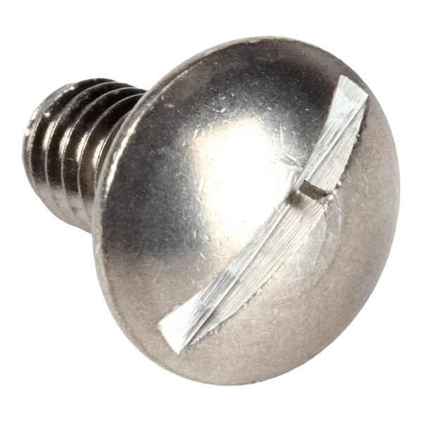 A metal slotted screw with a round head and threaded shaft.