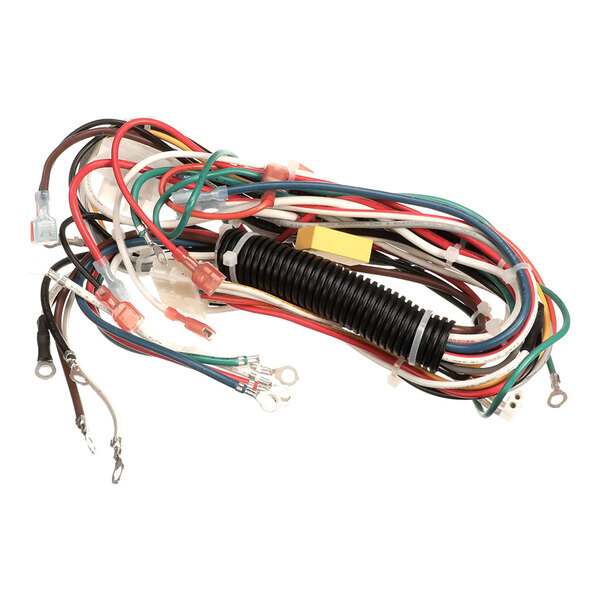 A Wilbur Curtis 3375000733 wiring harness assembly for D500GT/H-63 Dual equipment.