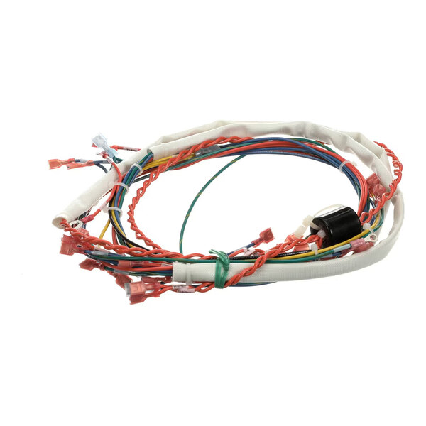 Groen 175288 Wire Harness,Control Low Voltage, Gas
