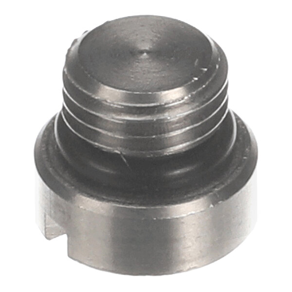 Jackson 05700-004-34-62 Rinse Arm End Cap