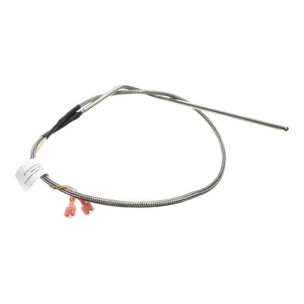 Groen 174852 Rtd Probe, Electric Braising Pan