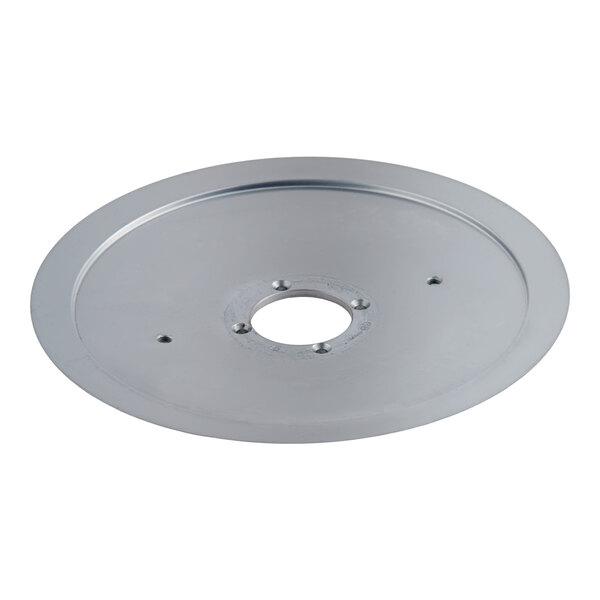 A round, flat metallic disc with a central hole and several smaller holes arranged around it.