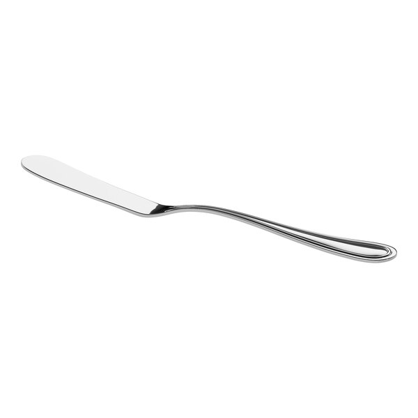 A stainless steel butter spreader with a rounded blade and a simple handle.