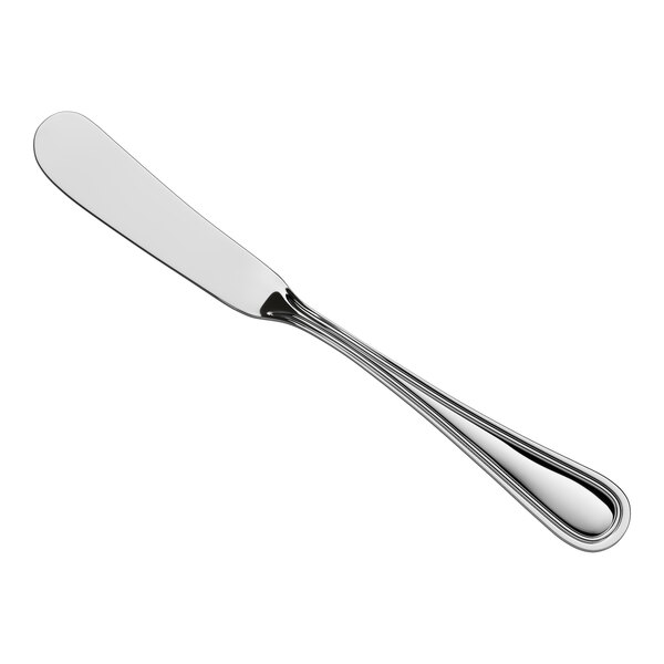 A stainless steel butter spreader with a rounded blade and a simple, polished handle.