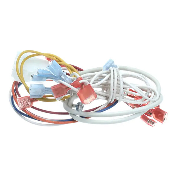 MagiKitch'n 2E-B6781101 Wrg,Dual Valve Mkg Ei