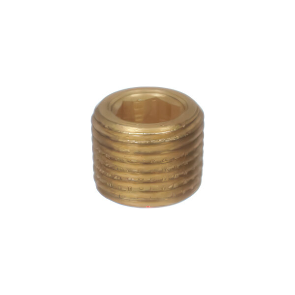 A small, cylindrical brass screw plug with external threading and a hexagonal socket opening.