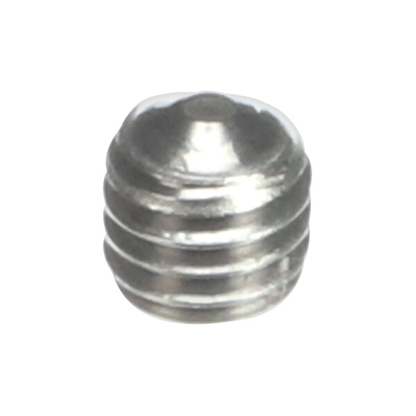 Schaerer 3371009047 Hex Socket Threaded Pin M6X6 P Inox