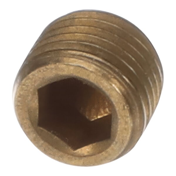 Schaerer 3370068156 Screw Plug R1/4 Bs