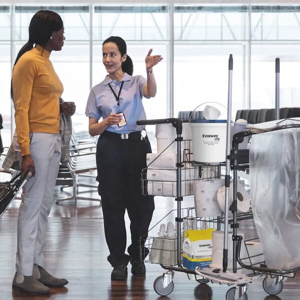 Everwipe by Tork 800-Count Disinfectant Wipes - 2/Case