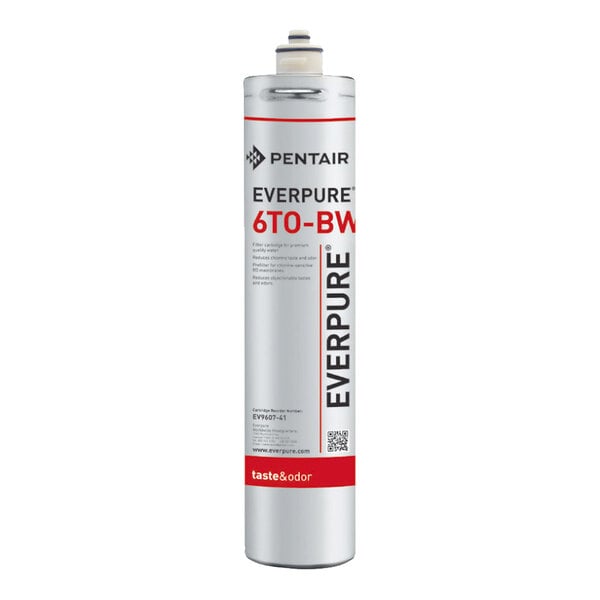 A cylindrical Everpure 6TO-BW replacement filter cartridge for reverse osmosis systems.