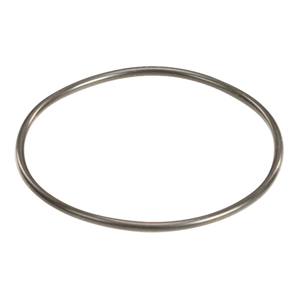 An Ice-O-Matic 9051636-01 O-ring seal for a machine head.