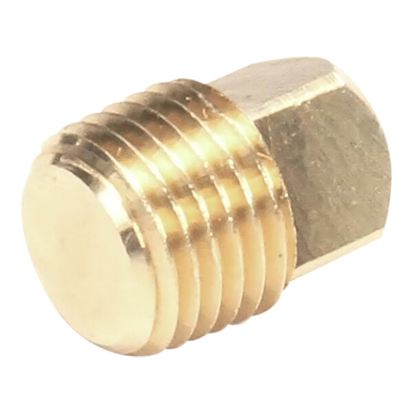 A brass 1/4 NPT plug with a hexagonal head and threaded body.