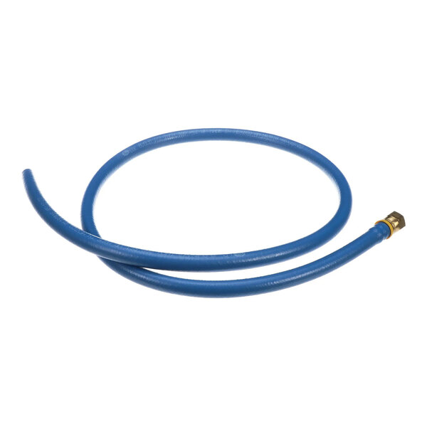 A blue hose assembly with a brass fitting on one end.