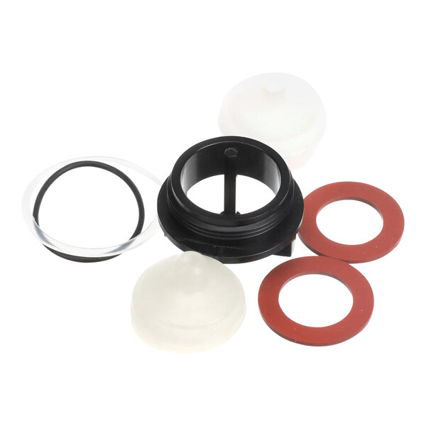 A Champion 900837 repair kit for a 3/4 inch vacuum breaker, including various seals, gaskets, and plastic components.