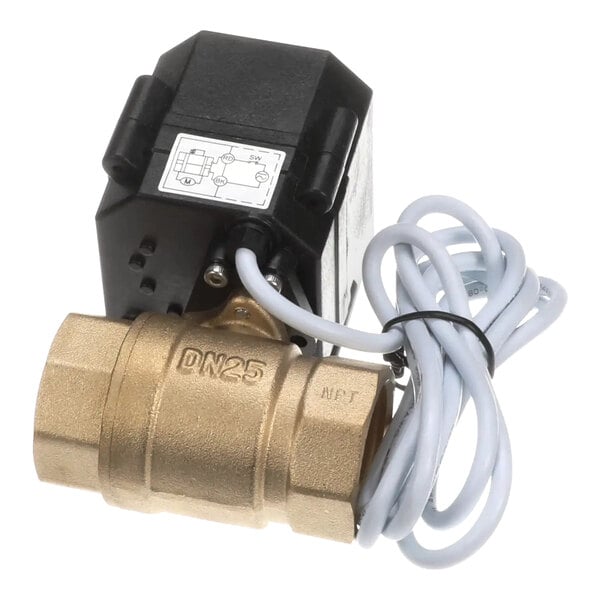 A brass electric ball valve with a black actuator, labeled DN25, and attached white electrical wiring.