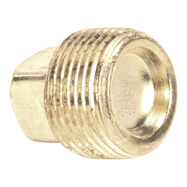 A brass 3/4 NPT plug with external threads.