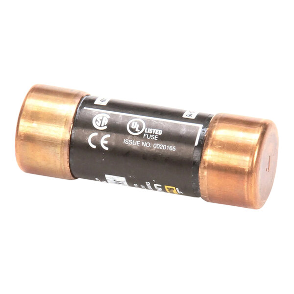 A cylindrical electrical fuse with copper-colored end caps and a black label.