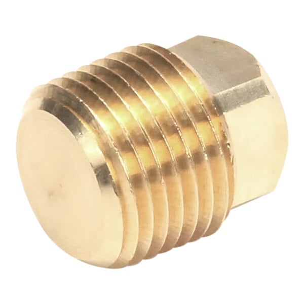 A brass square head pipe plug with 1/2 inch NPT threads.