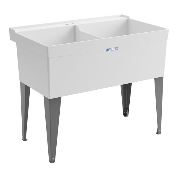 A white two-compartment thermoplastic utility laundry tub sink with steel legs.