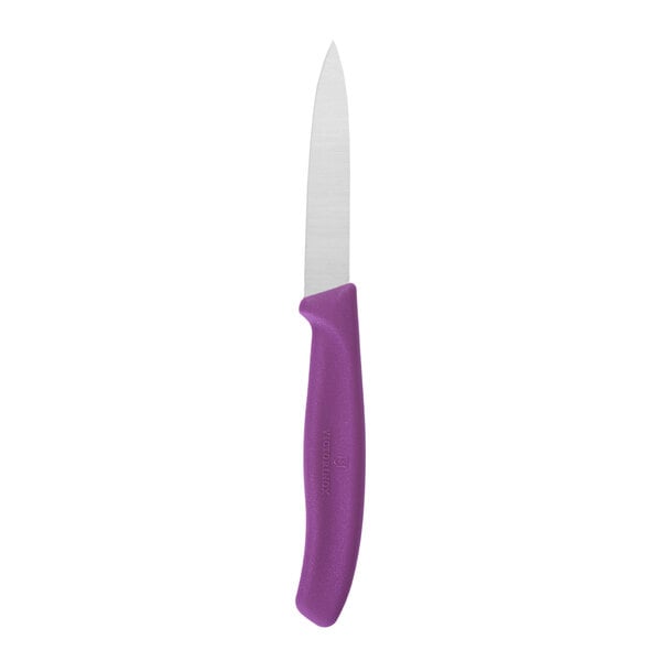 A small paring knife with a straight stainless steel blade and an eggplant purple handle.
