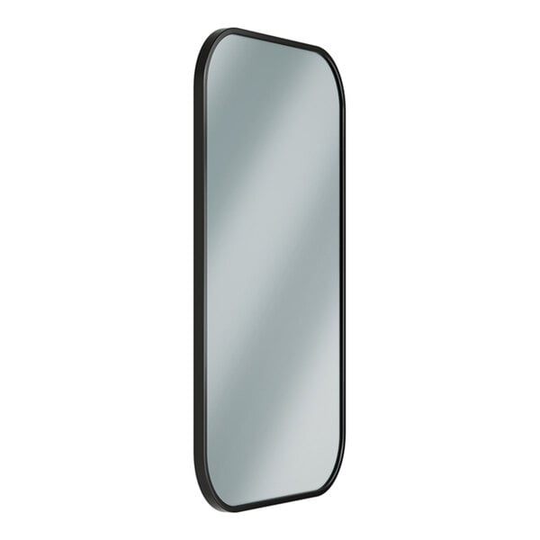 Bradley Elvari 18" x 30" Wall-Mount Glass Mirror with Black Stainless Steel Frame