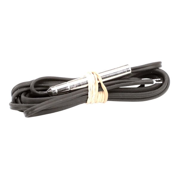 Dinex DX186160013 Temperature Probe