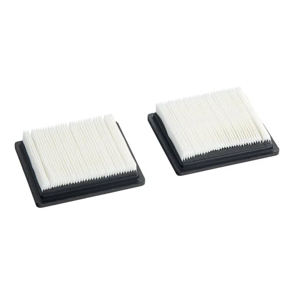 A pair of rectangular HEPA media exhaust filters designed for ProTeam GoFit backpack vacuums.