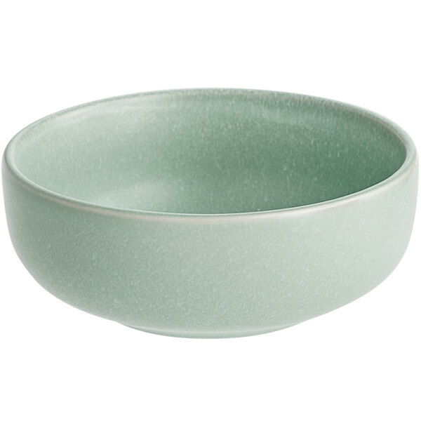 A simple, round, matte-finish bowl in a light blue-green color.