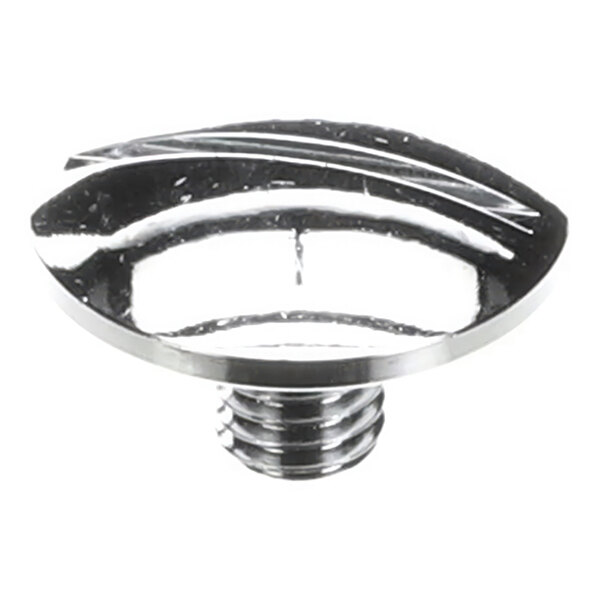 A round, slotted metal screw with a flat top and threaded shaft.
