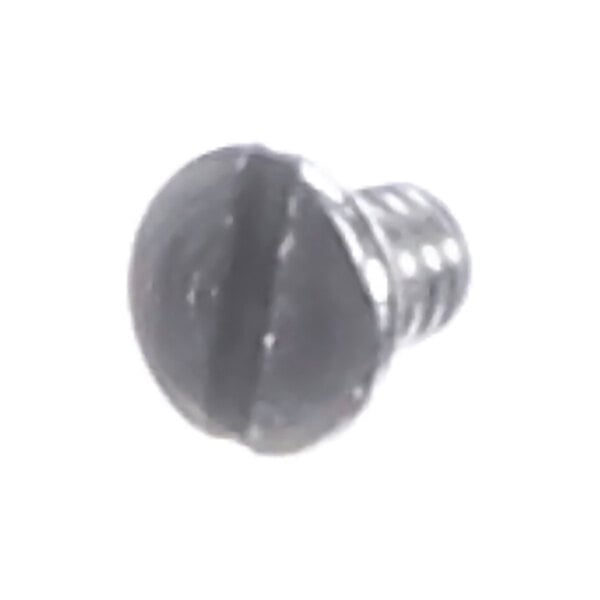 A stainless steel slotted flat head screw, M8 x 8MM in size.